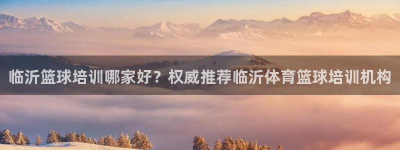 极悦平台注册官方网站下载：临沂篮球培训哪家好？权威推