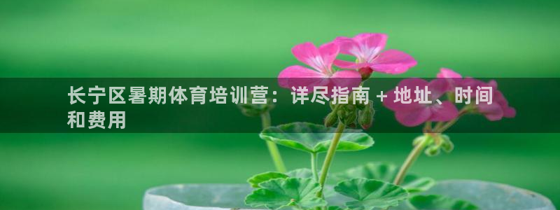 极悦娱乐的背景和历史背景介绍：长宁区暑期体育培训营：