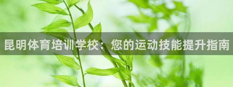 极悦平台官方网站下载安卓：昆明体育培训学校：您的运动