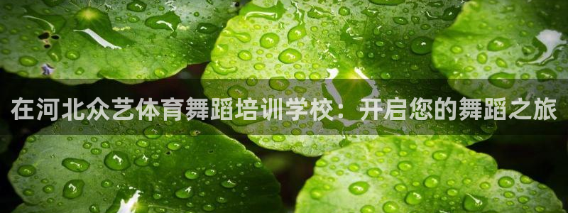 极悦平台登录7.0.2.4手机版下载安装：在河北众艺